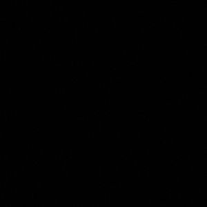 Meet your Posher, Gabe